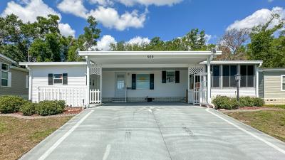 Mobile Home at 929 W Norman St Lady Lake, FL 32159