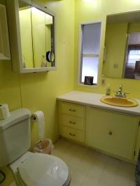 1981 Manufactured Home