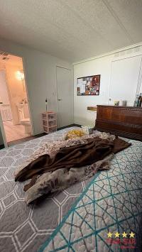 1982 SCHU  Home