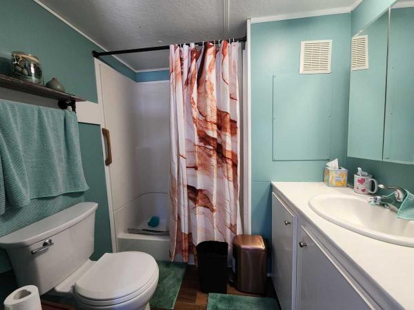 1971 Manufactured Home