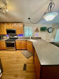 1989 90002 Skyline HM  SHM 6603A Mobile Home