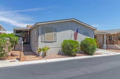 Mobile Home at 8122 W. Flamingo Rd. Las Vegas, NV 89147