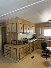 1979 Skyline Manufactured Home