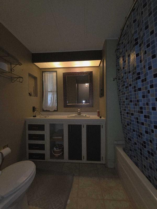 1980 Palm Harbor Mobile Home