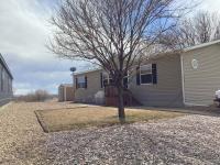 2011 Skyline Mobile Home