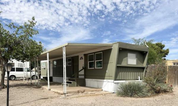 1962 Skyline Mobile Home For Sale