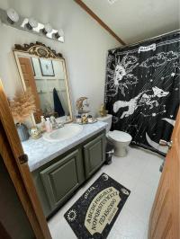 2000 Skyline Mobile Home