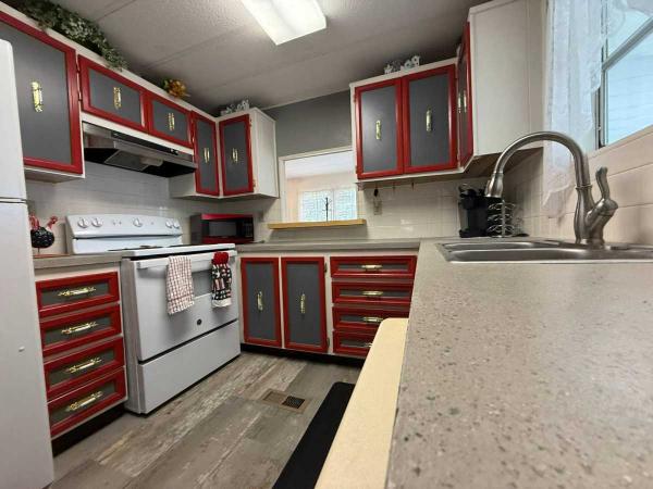 1975 RITZ Mobile Home
