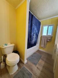 1991 Skyline Bay Springs Mobile Home