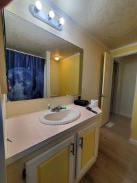 1991 Skyline Bay Springs Mobile Home