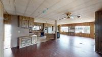 1974 Skyline Mobile Home