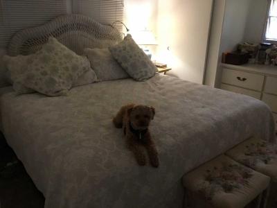 Available Home