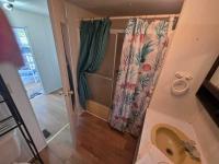 1973 Delu Mobile Home