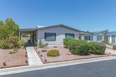 Mobile Home at 141 Codyerin Dr. Henderson, NV 89074