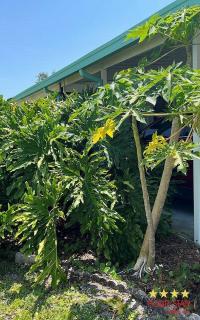 1987 PALM   Home
