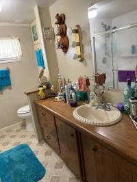 1969 Mobile Home
