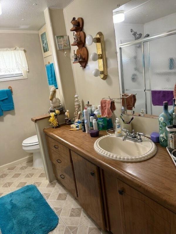 1969 Mobile Home