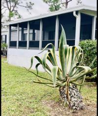 1988 Merit 1988 Manufactured Home