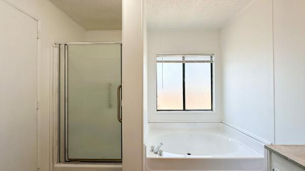 1985 Skyline Mobile Home