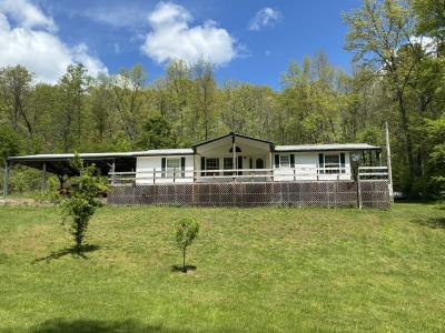 Mobile Home at Ironcounty Belleview, MO 63623