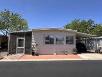 1971 Skyline Homette Mobile Home