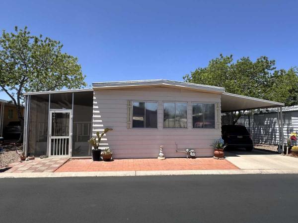1971 Skyline Mobile Home For Sale