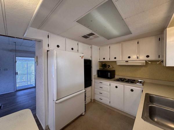 1971 Skyline Homette Mobile Home