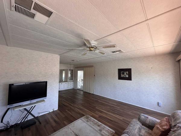 1971 Skyline Homette Mobile Home