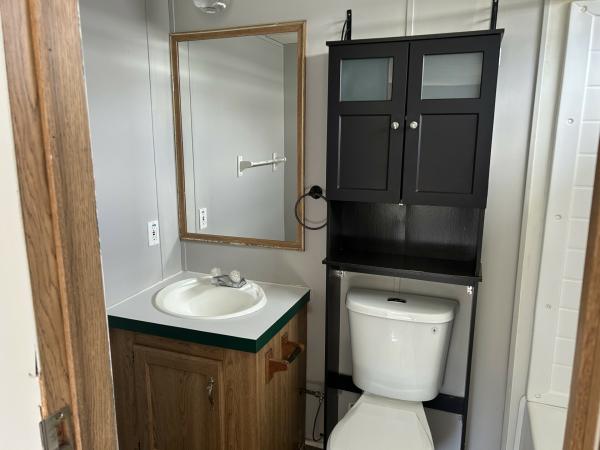1996 SKYL mobile Home