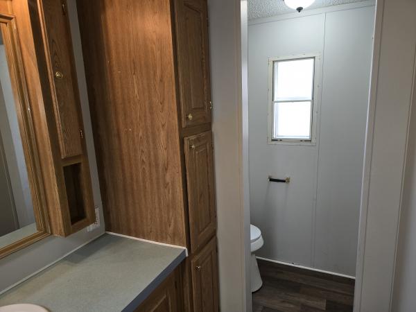1993 Skyline Mobile Home