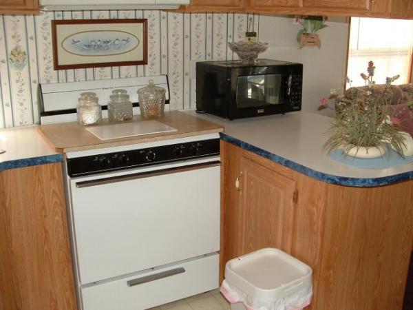 1999 Sunlake Manufactured Home