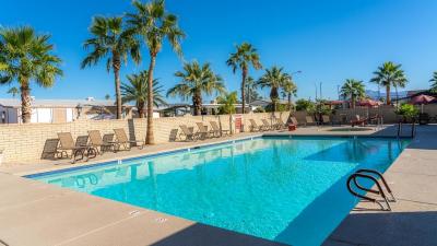 Photo 4 of 5 of home located at 8600 E. Broadway Rd, Lot 094 Mesa, AZ 85208