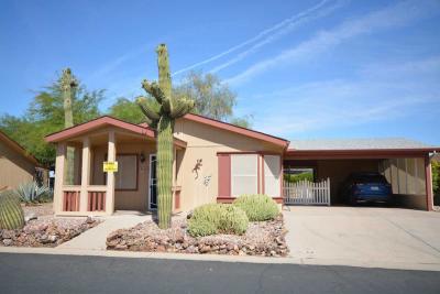 Photo 1 of 28 of home located at 8840 E Sunland Ave, Lot 17 Mesa, AZ 85208