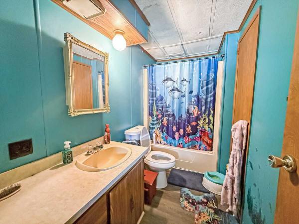 Mobile Home
