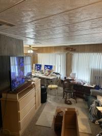 1971 Townhouse Mobile Home