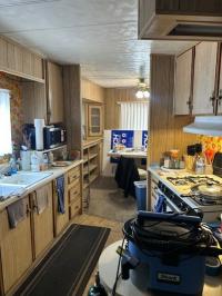 1971 Townhouse Mobile Home