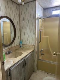 1971 Townhouse Mobile Home