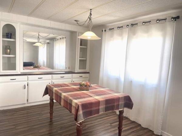 1977 Skyline Manufactured Home