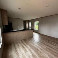 2025 Pulse  Home