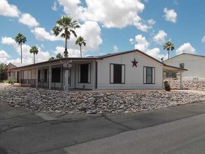 Mobile Home at 15301 N. Oracle Road #39 Tucson, AZ 85739