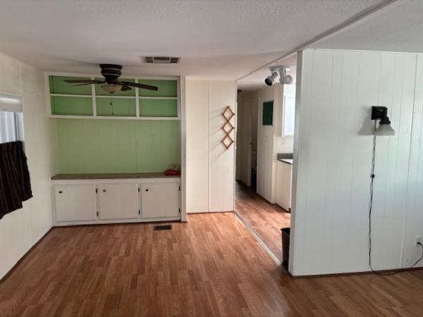 1972 Skyline Mobile Home