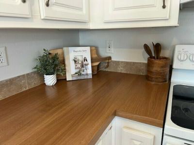 Photo 4 of 15 of home located at 13 Park Way Paisley, FL 32767