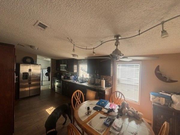 1999 LIMI Mobile Home