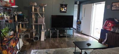 Photo 2 of 8 of home located at 2019 Collier Blvd O Fallon, MO 63366