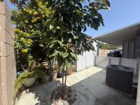 1976 Prestige NEw Kitchen Mobile Home