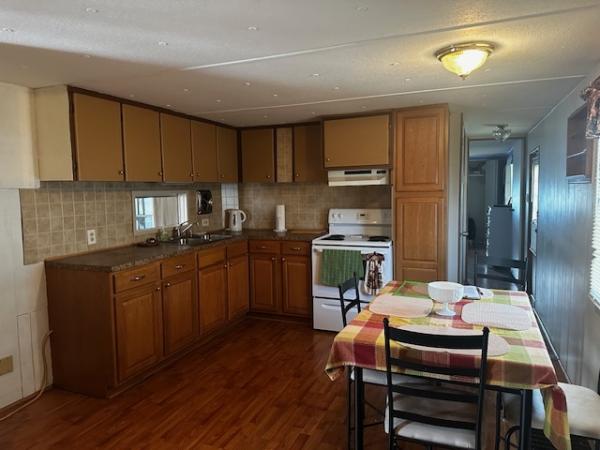 1970 Skyline Mobile Home
