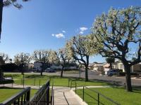1976 Silvercrest Signature Manufactured Home