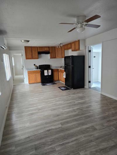 Photo 3 of 11 of home located at 6910 Alafia Dr. Riverview, FL 33578