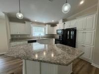 2019 Skyline - Ocala Silver Springs Mobile Home