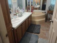 1996 Skyline Manufactured Home